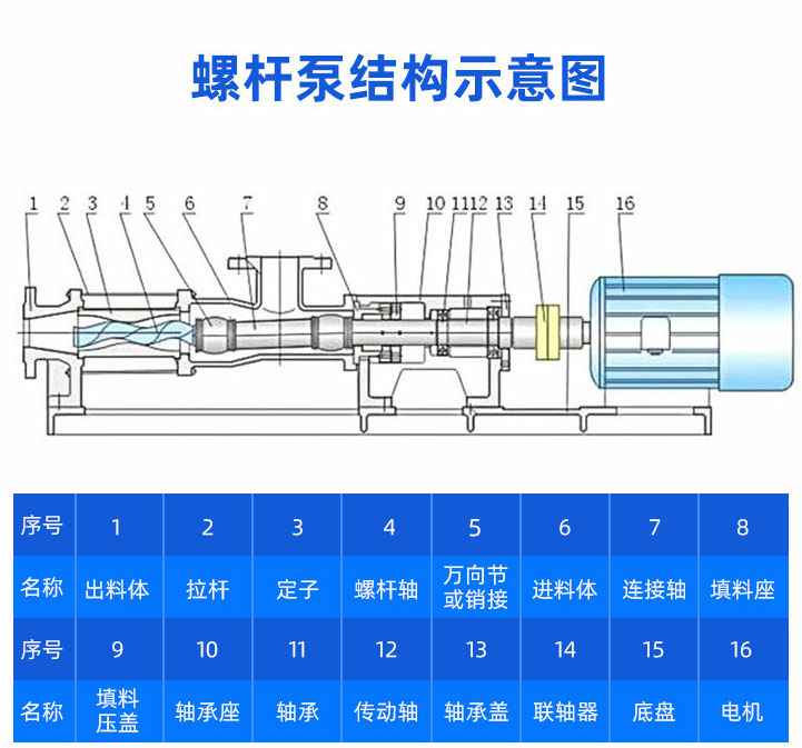 FG不锈钢卫生级单螺杆泵结构示意图